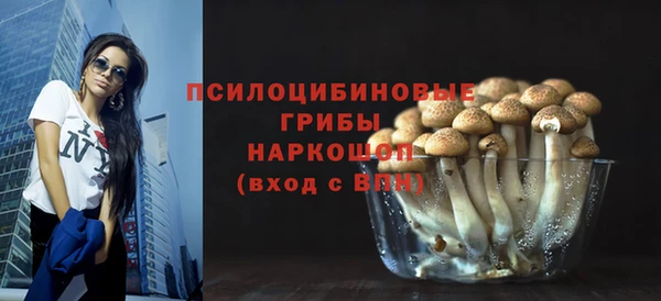 гидра Балахна