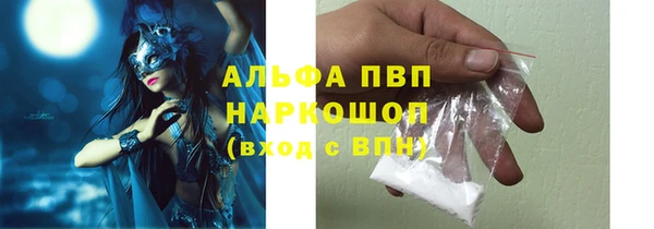 гидра Балахна