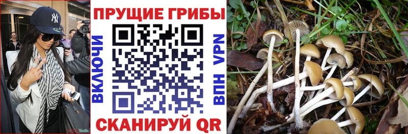 Купить закладки  Новотроицк  Галлюциногенные грибы мухоморы 